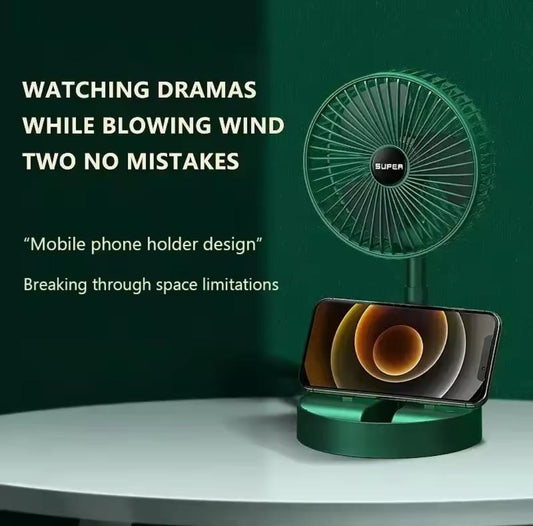 Portable fan